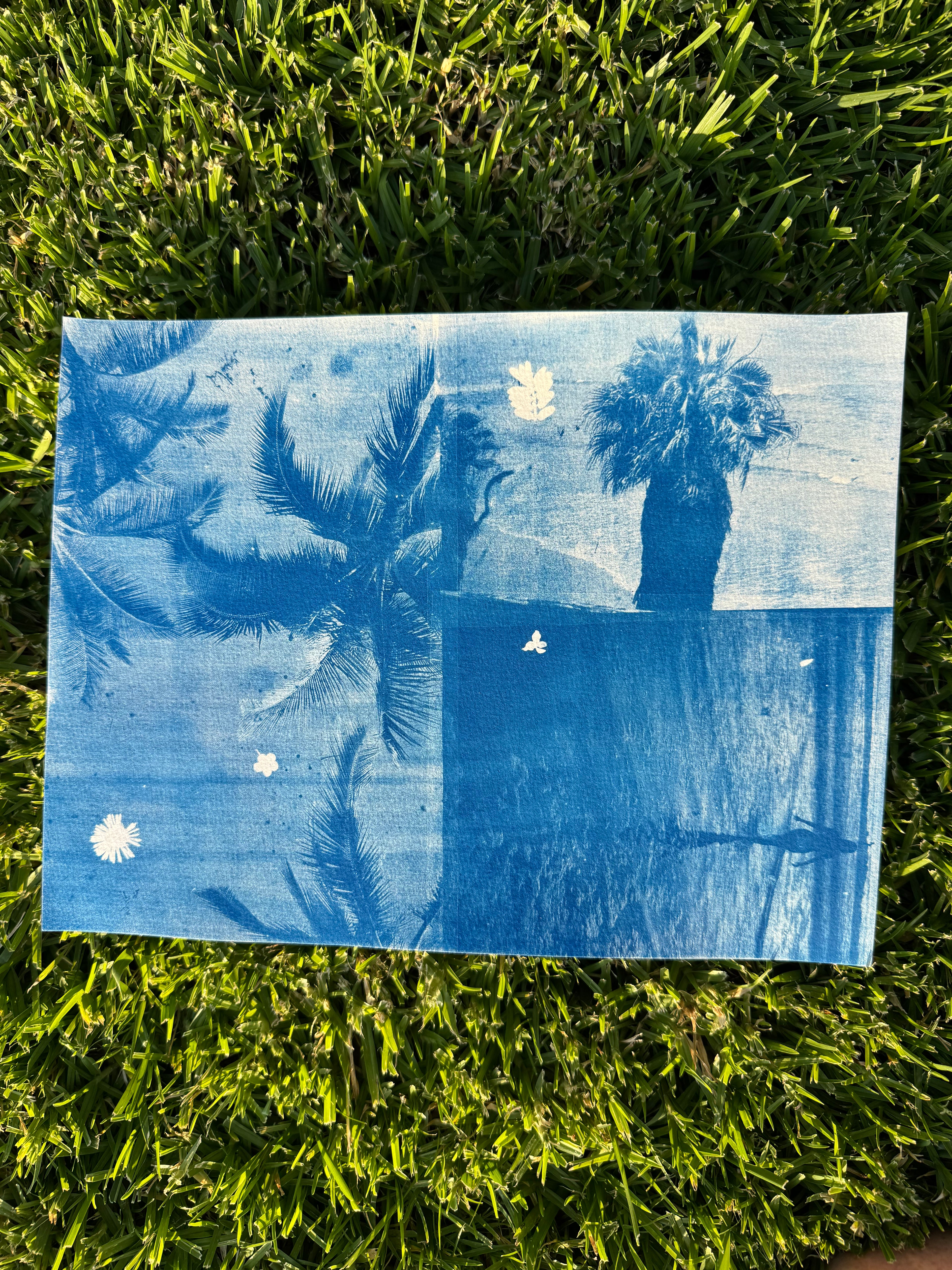Triple Cyanotype Print