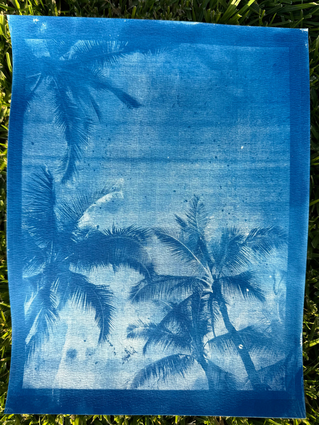 Single Cyanotype Print
