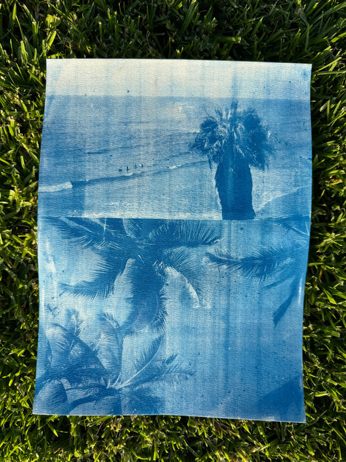 Double Cyanotype Print