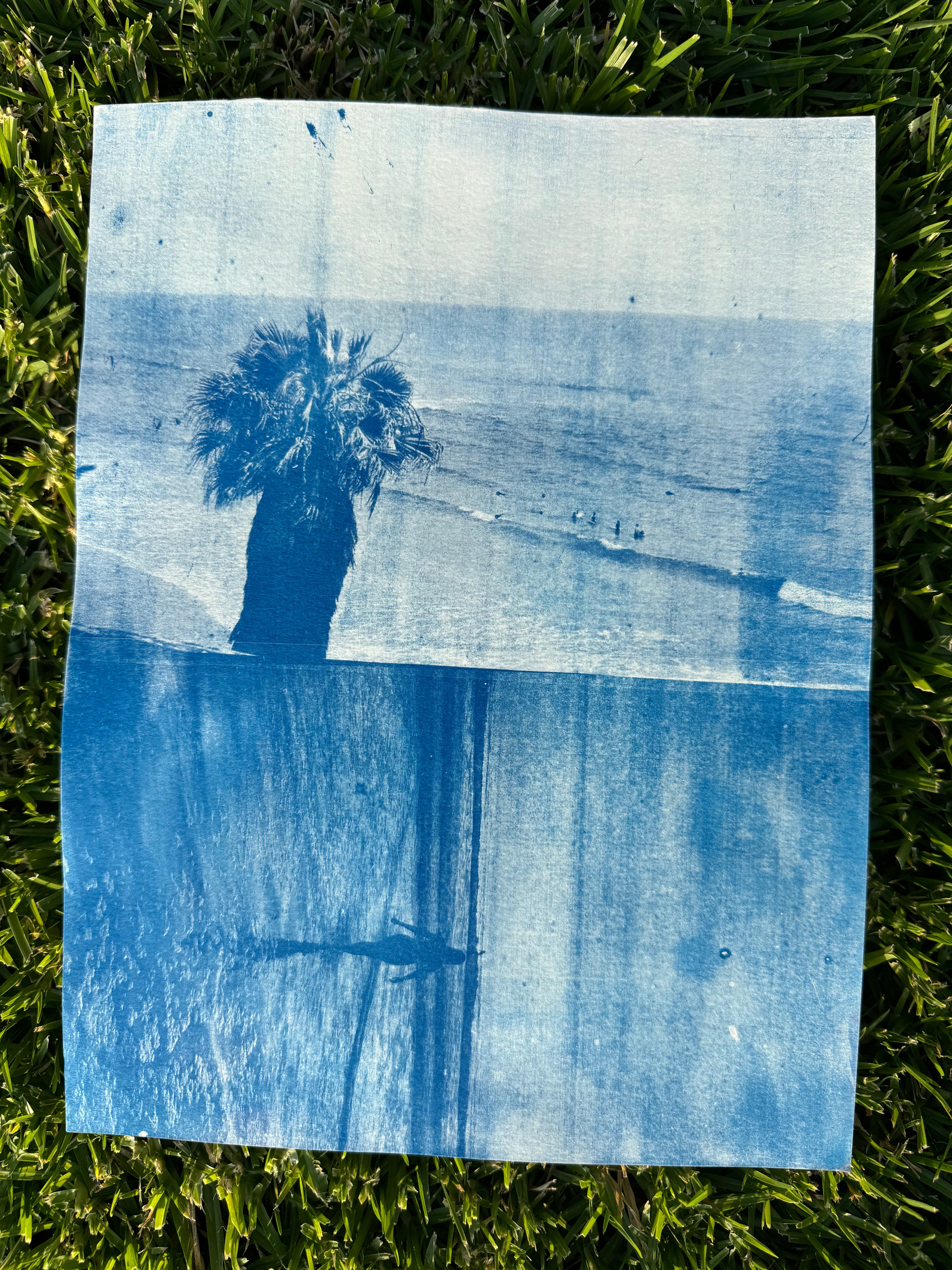 Double Cyanotype Print