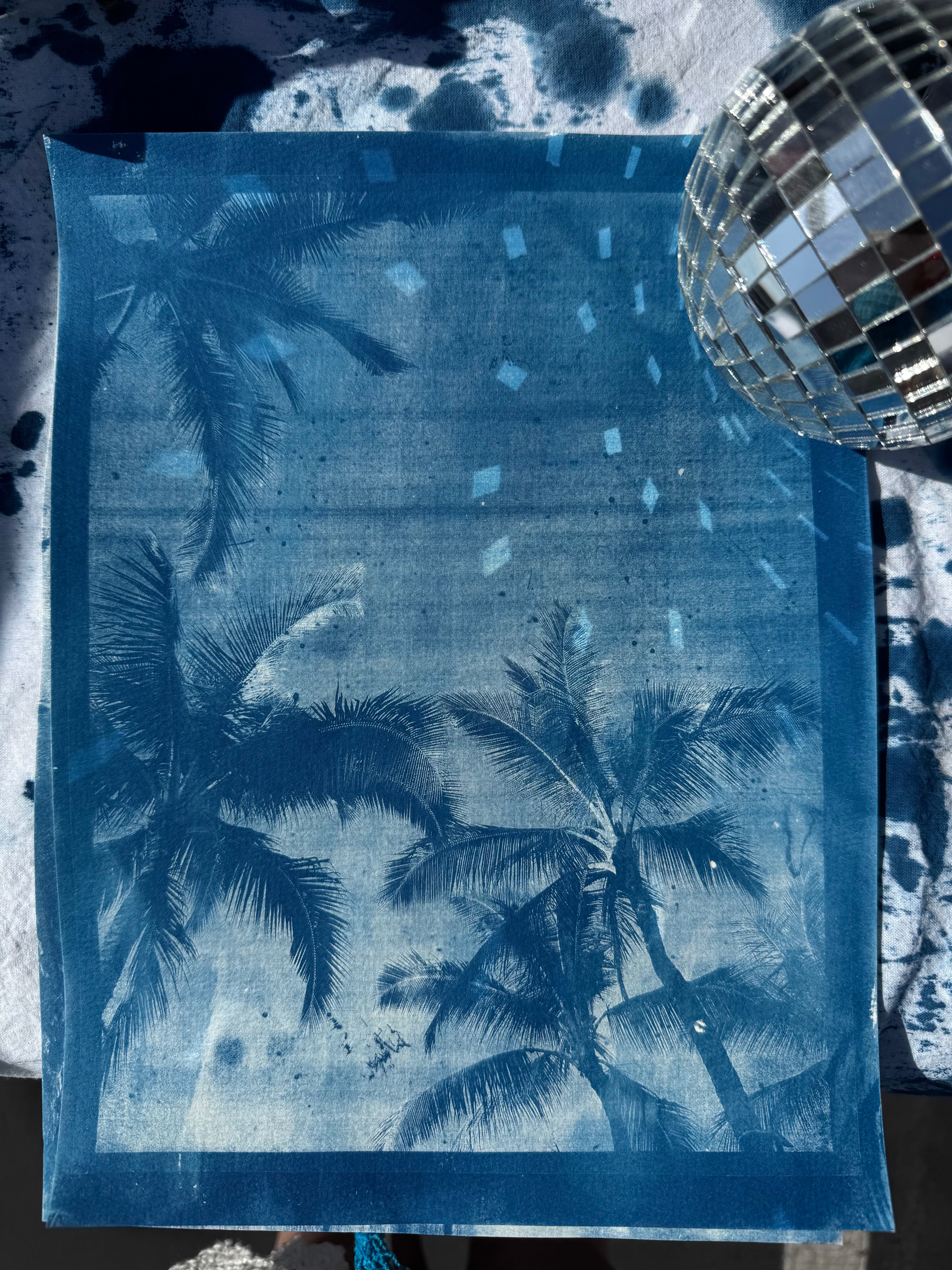Single Cyanotype Print