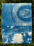 Double Cyanotype Print