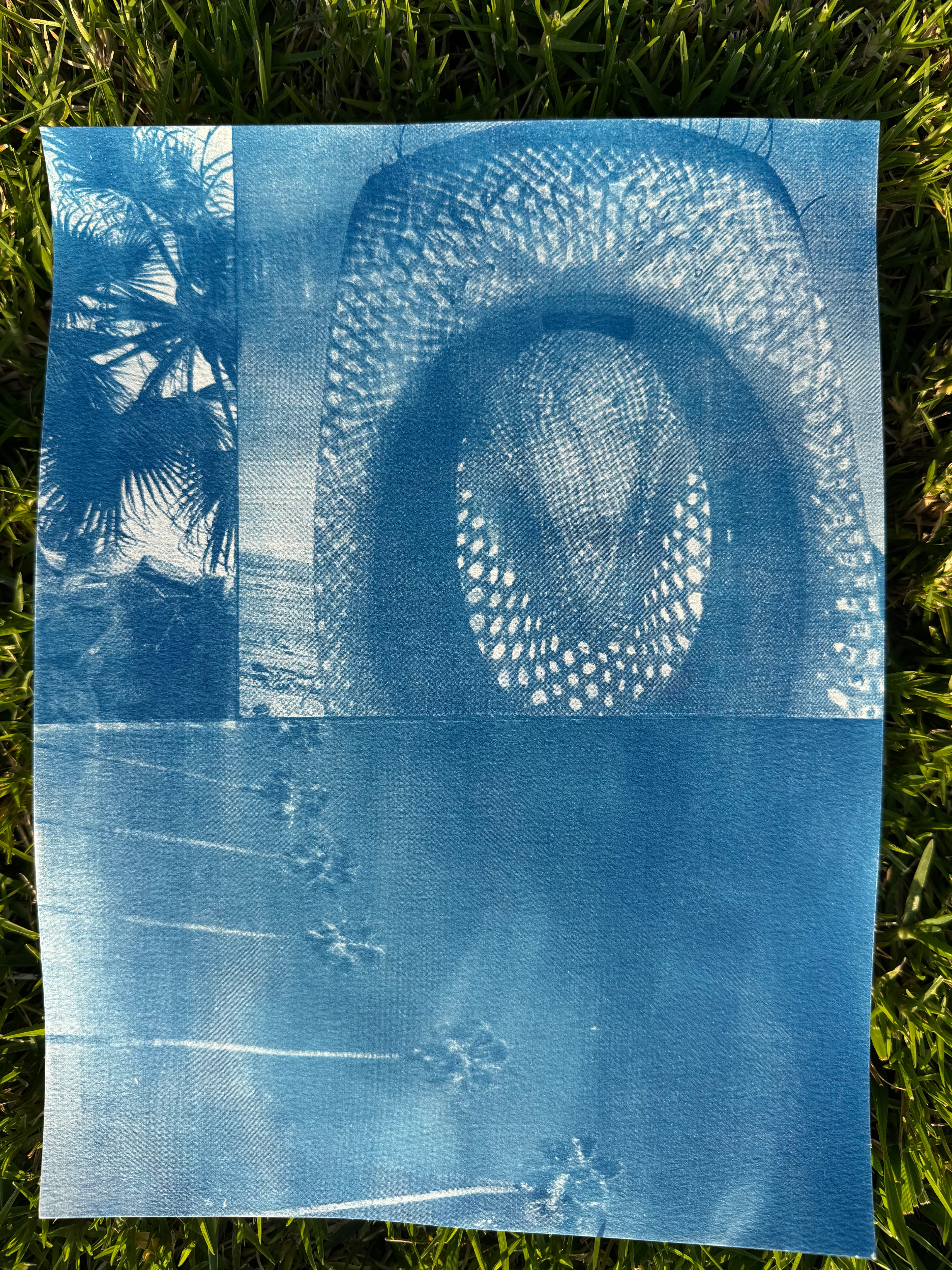 Triple Cyanotype Print