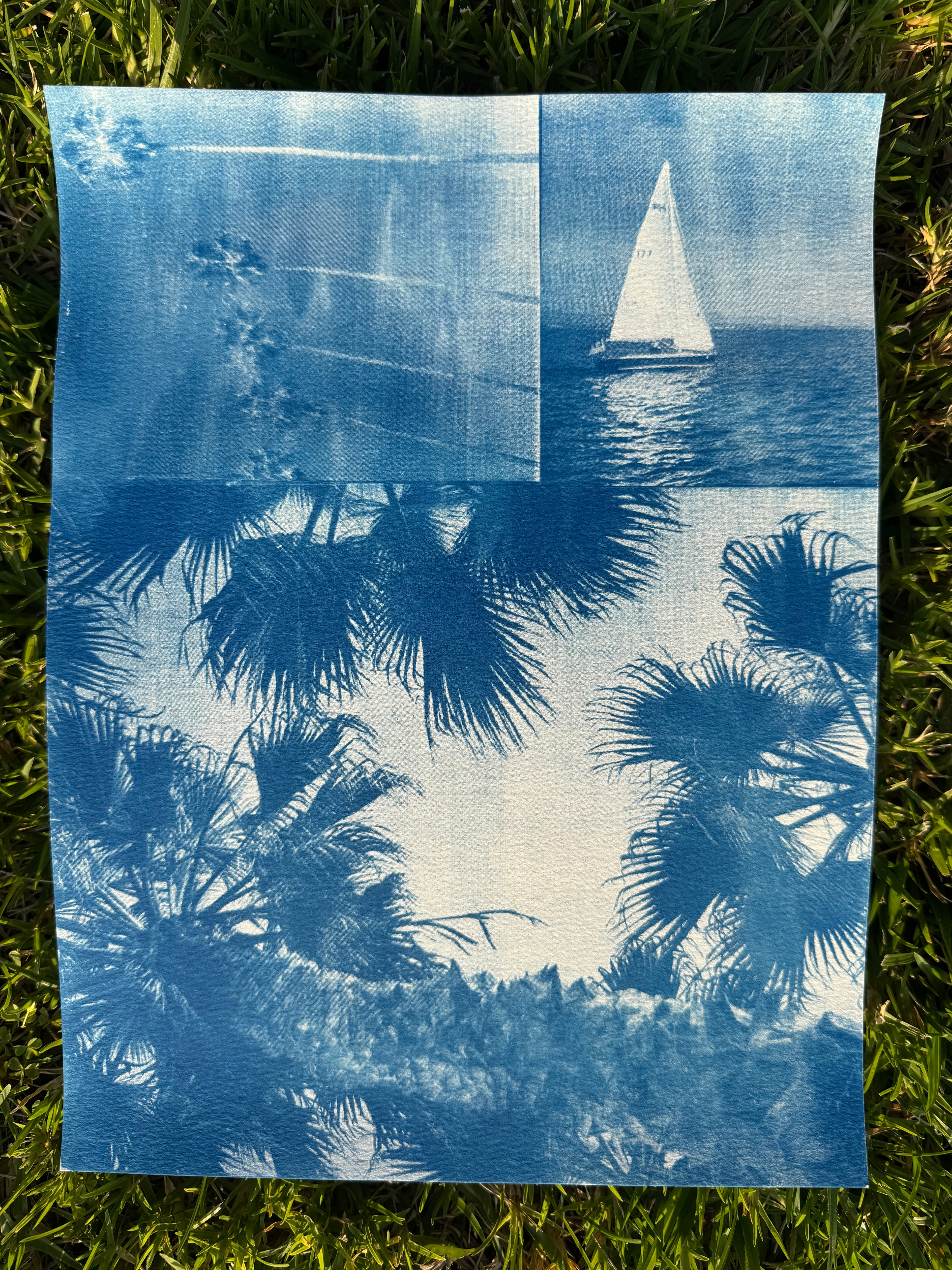 Triple Cyanotype Print