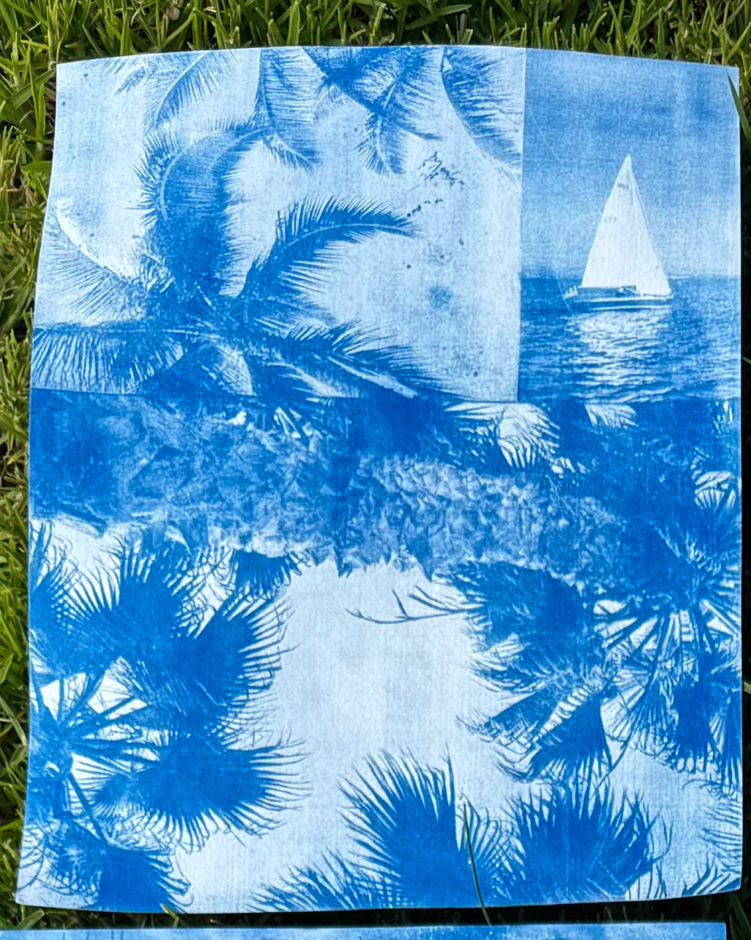 Triple Cyanotype Print